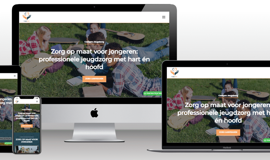 Portfolio Carepro