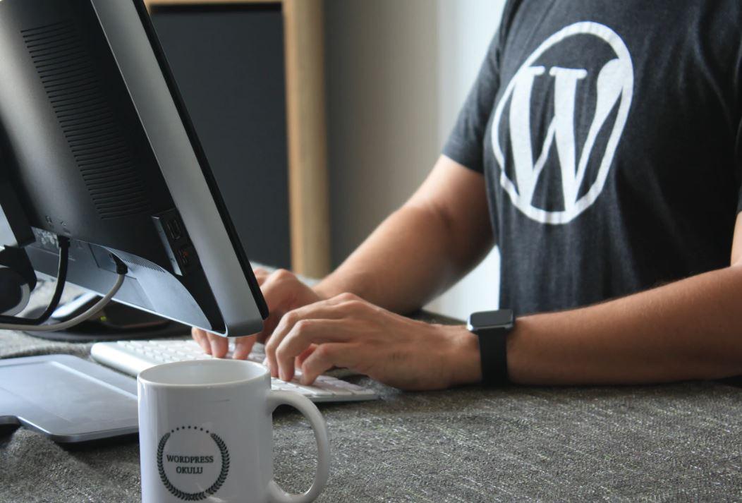 Wat is er nieuw in WordPress 6.6?