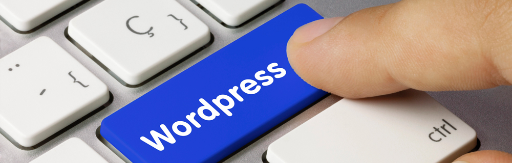 Duizenden WordPress-sites verspreiden malware via nep-updates!